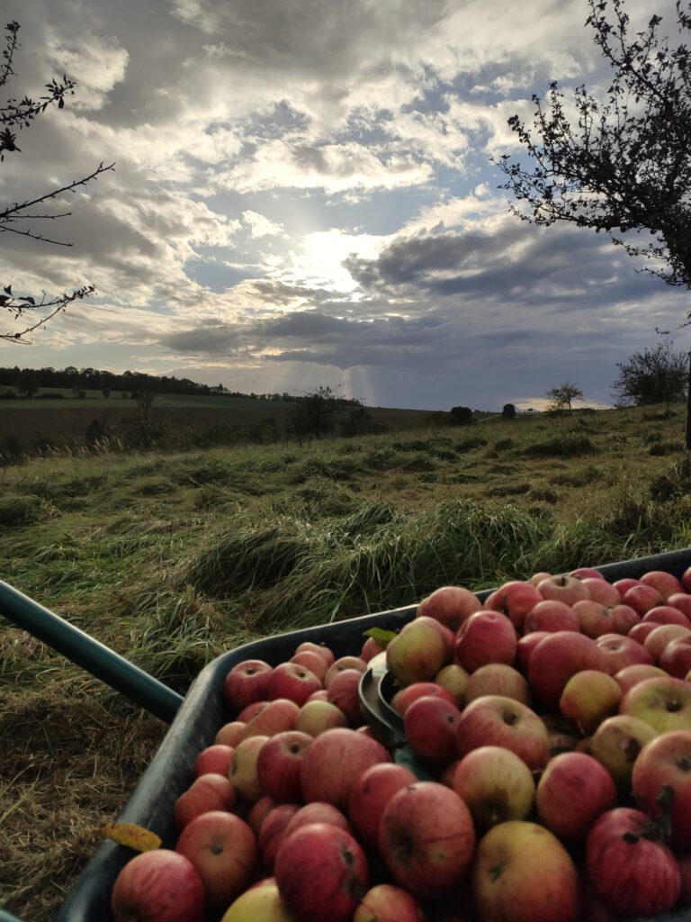 Apfelsäft (naturtrüb)