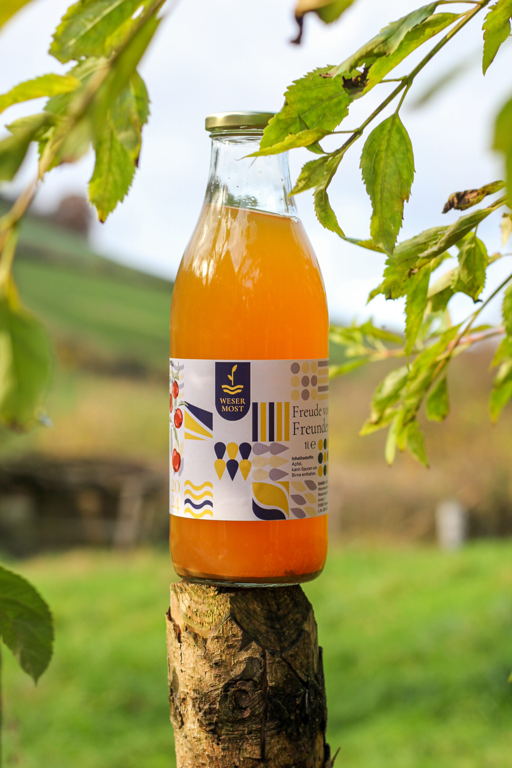 Apfelsäft (naturtrüb) – Bild 1