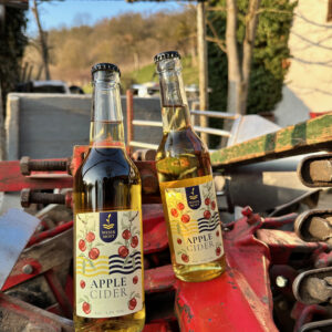 Apple Cider
